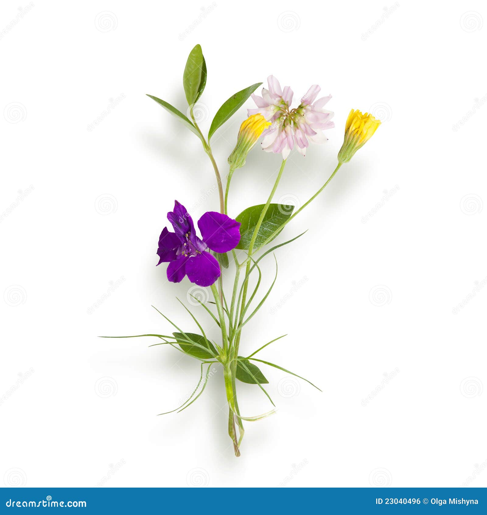 Bouquet Des Fleurs (sauvages) De Zone Photo stock - Image du ressort,  flore: 23040496