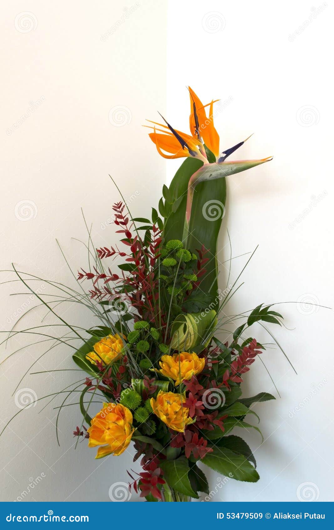 Bouquet Des Fleurs Tropicales Rares Image Stock Image Du