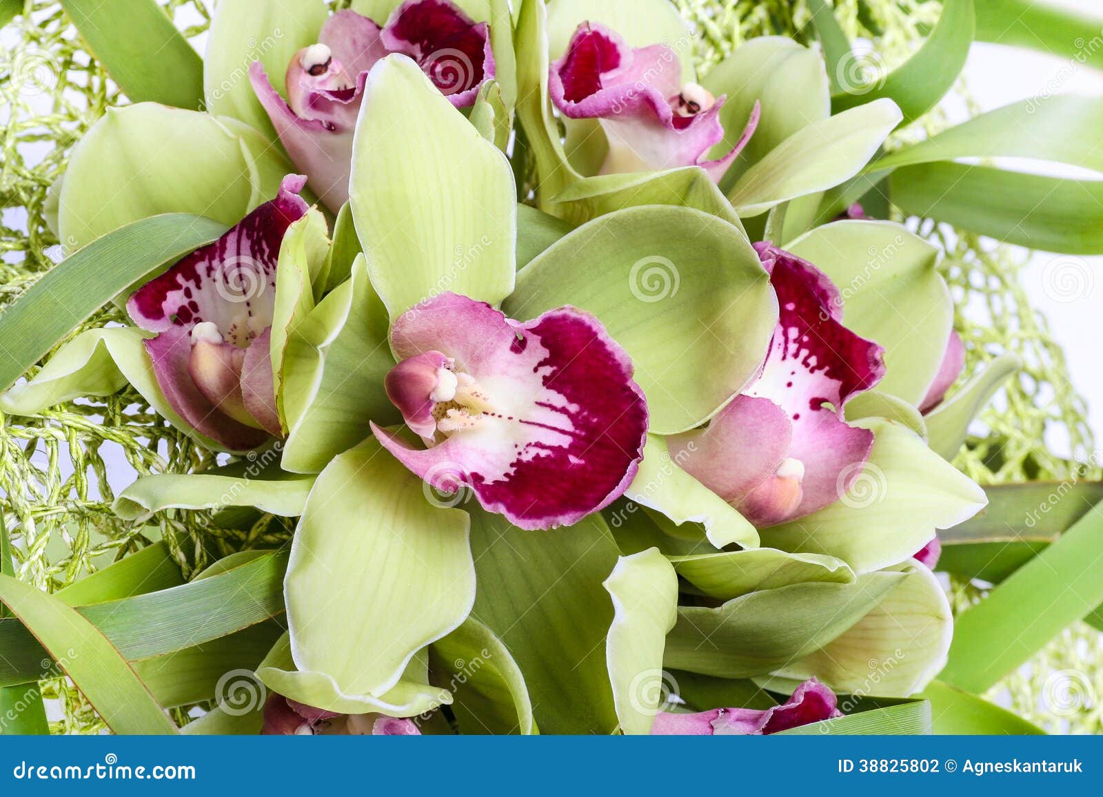 Bouquet Des Fleurs Vertes Dorchidée Photo Stock Image Du