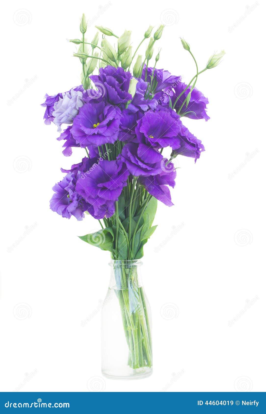 Bouquet Des Fleurs Violettes D'eustoma Image stock - Image du carte, fleur:  44604019