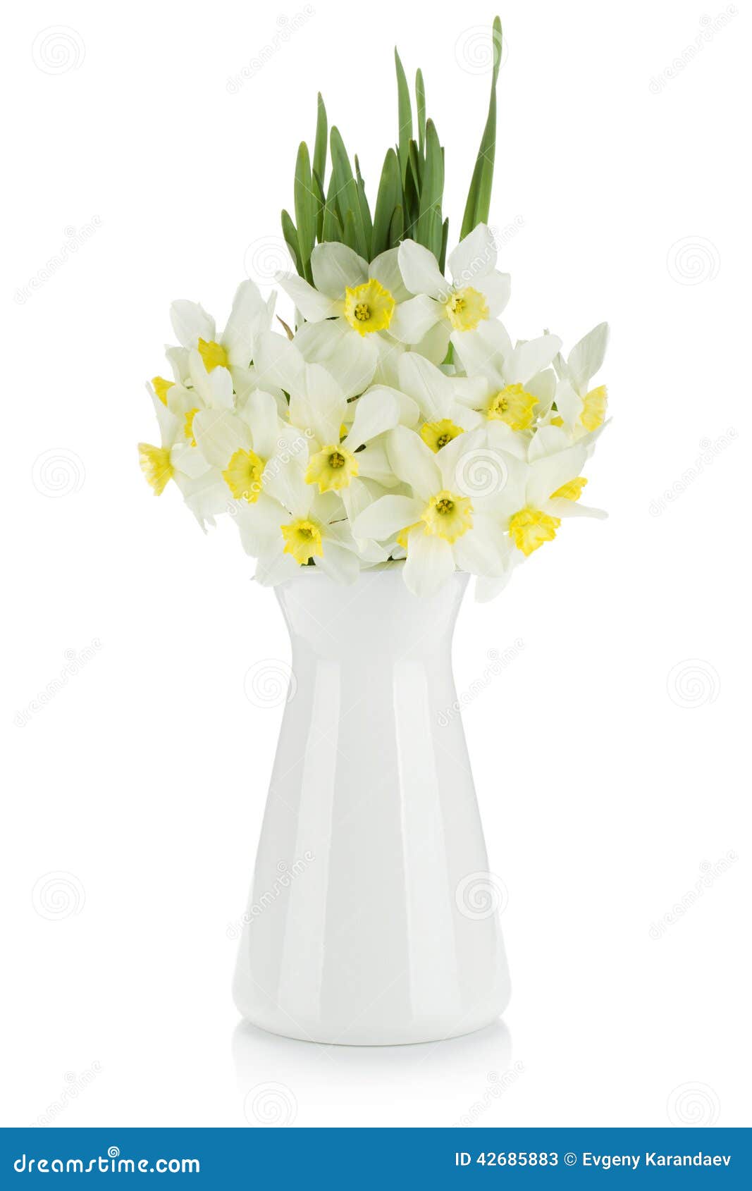 Bouquet Des Jonquilles Blanches Image Stock Image Du Fleur Closeup