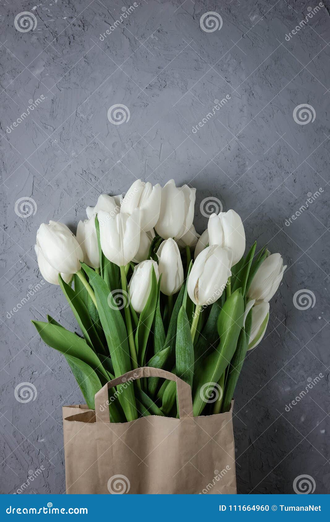 Carte postale, tulipe blanche