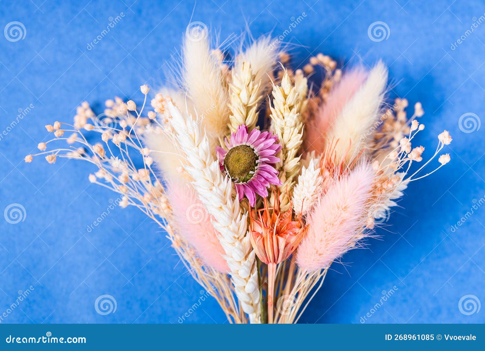 Bouquet of Dried Flowers Close Up on Blue Stock Image Image of pale