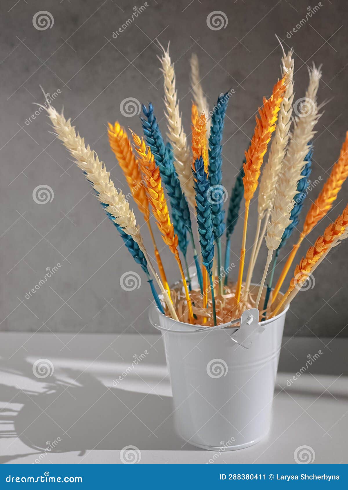 Blue Dried Wheat, Dried Flowers