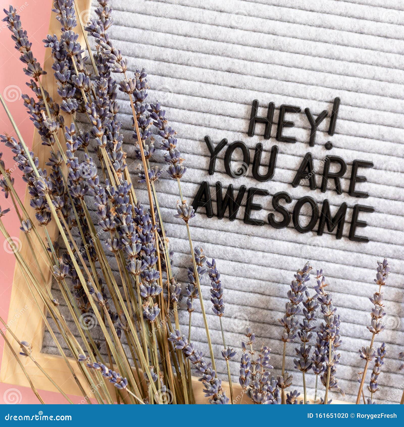 hey you are awesome
