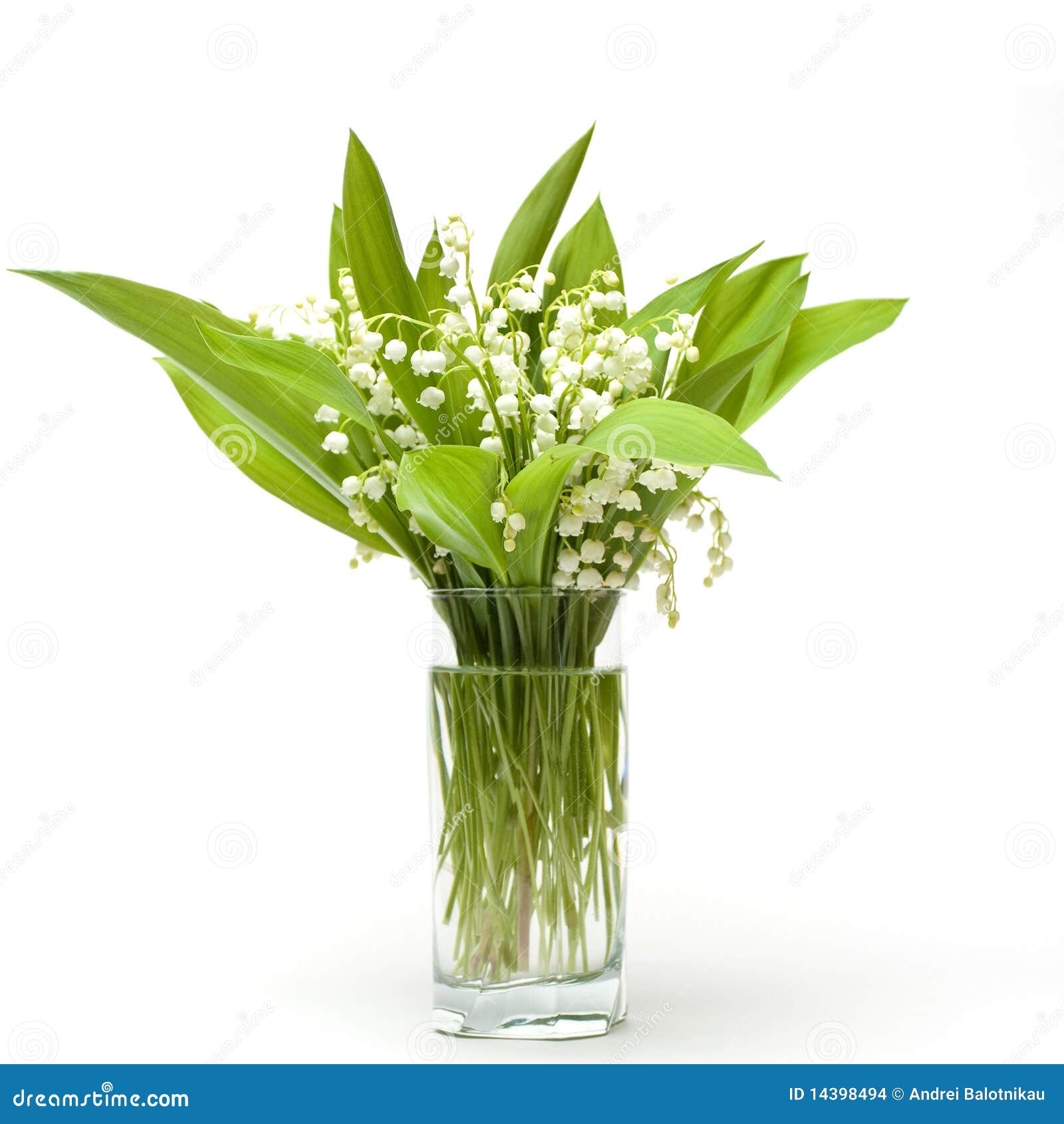 Bouquet Du Muguet Images stock Image 14398494