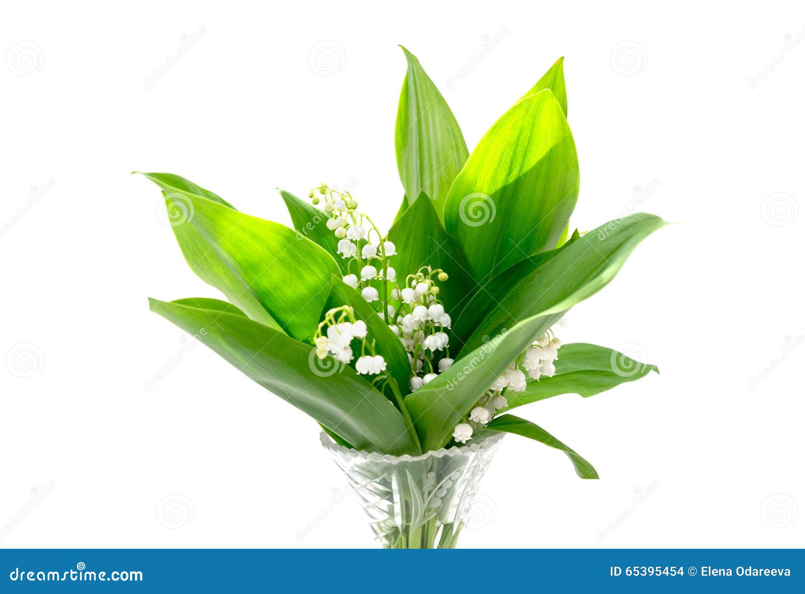 Bouquet Du Muguet Dans Un Vase Photo stock Image du ressort, vallée