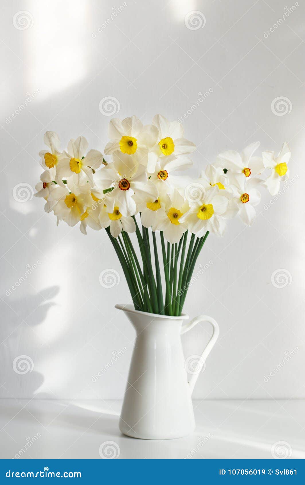 Bouquet du narcisse blanc image stock. Image du sunlight - 107056019