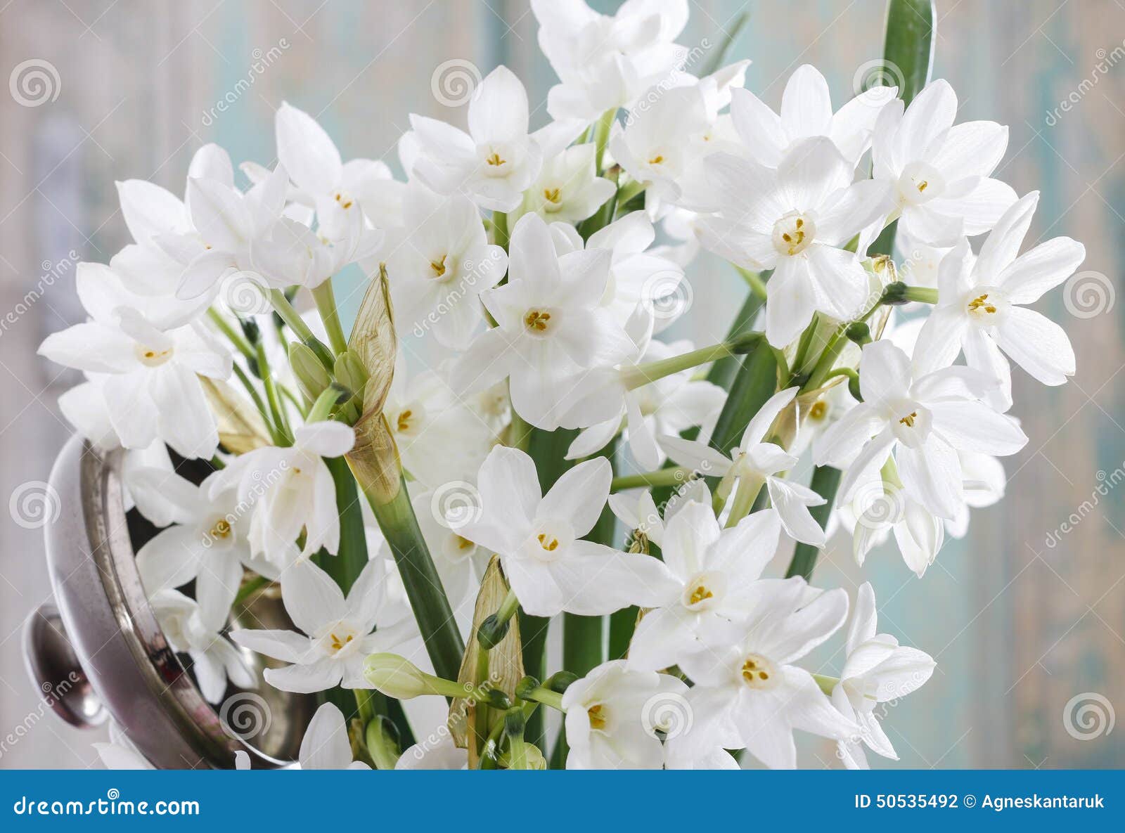 Bouquet du narcisse blanc photo stock. Image du ressort - 50535492