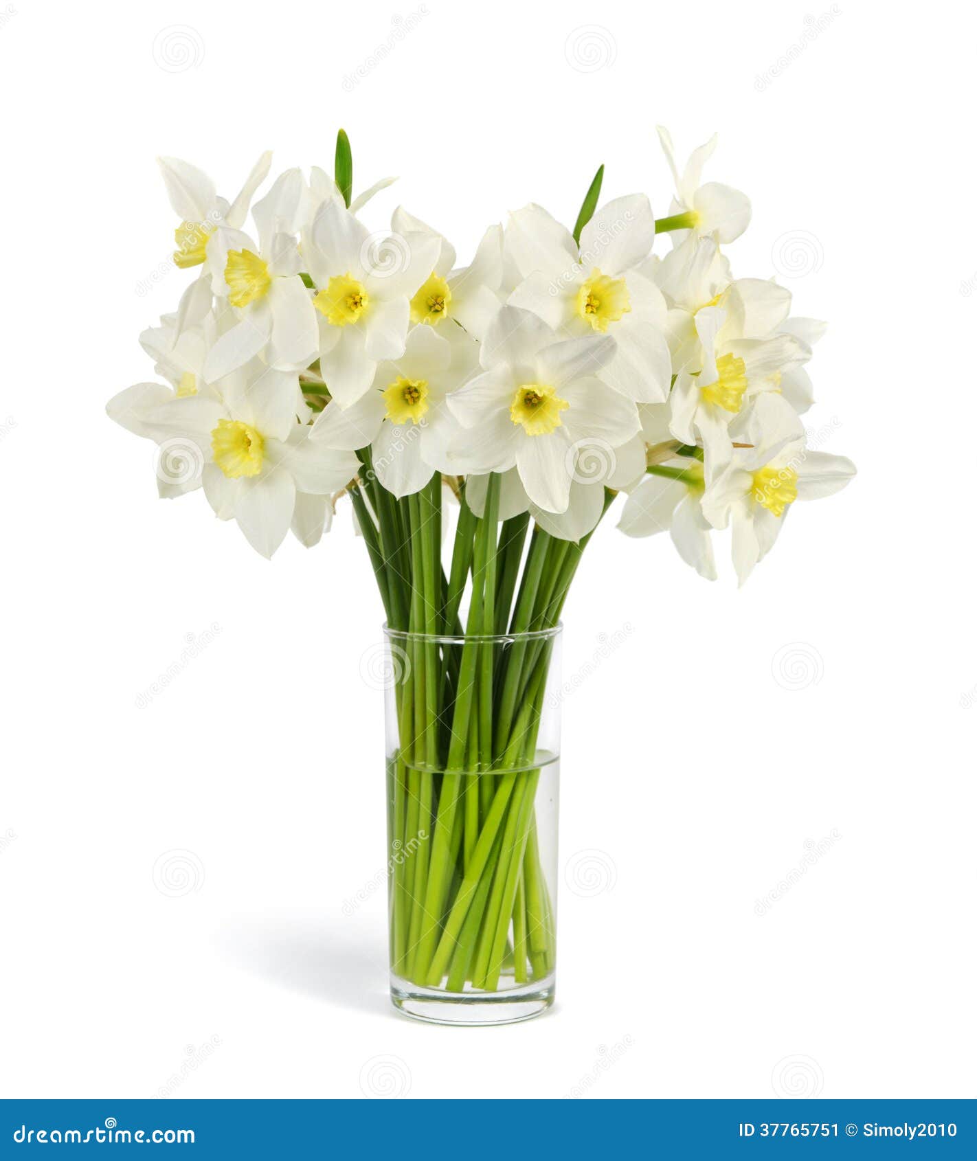 Bouquet du narcisse frais image stock. Image du fond - 37765751