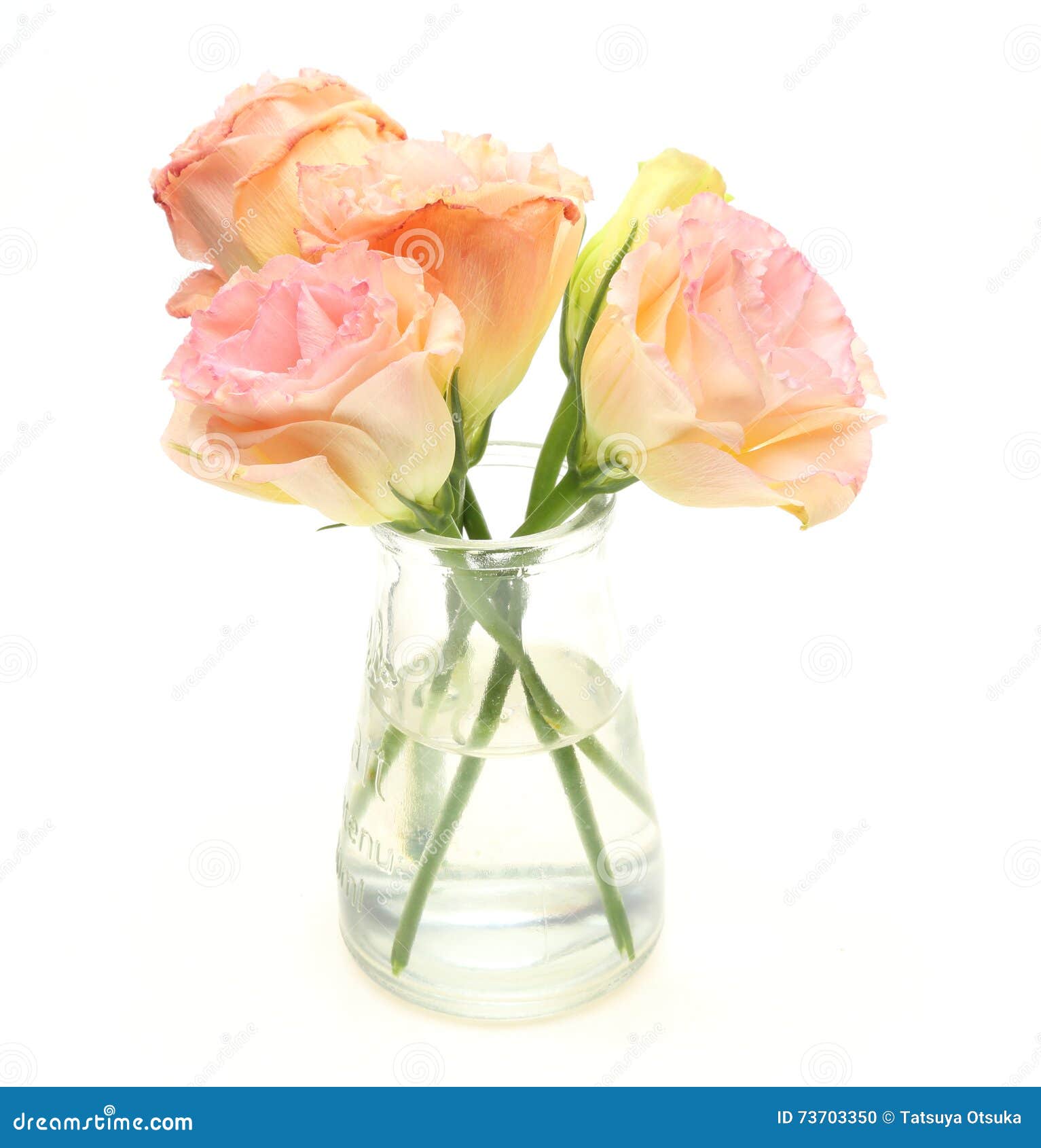 Bouquet of Eustoma in a Glass Bottle Stock Photo Image of tulip, vase