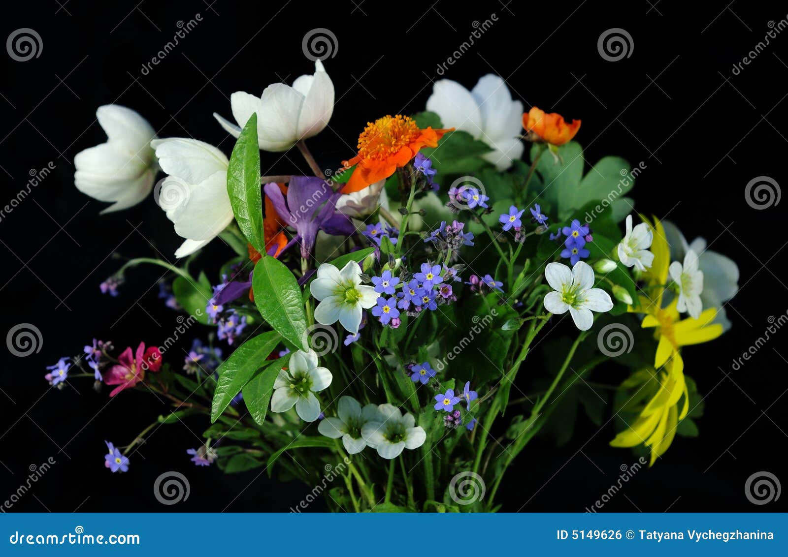 Bouquet of field flowers stock photo. Image of colored 5149626