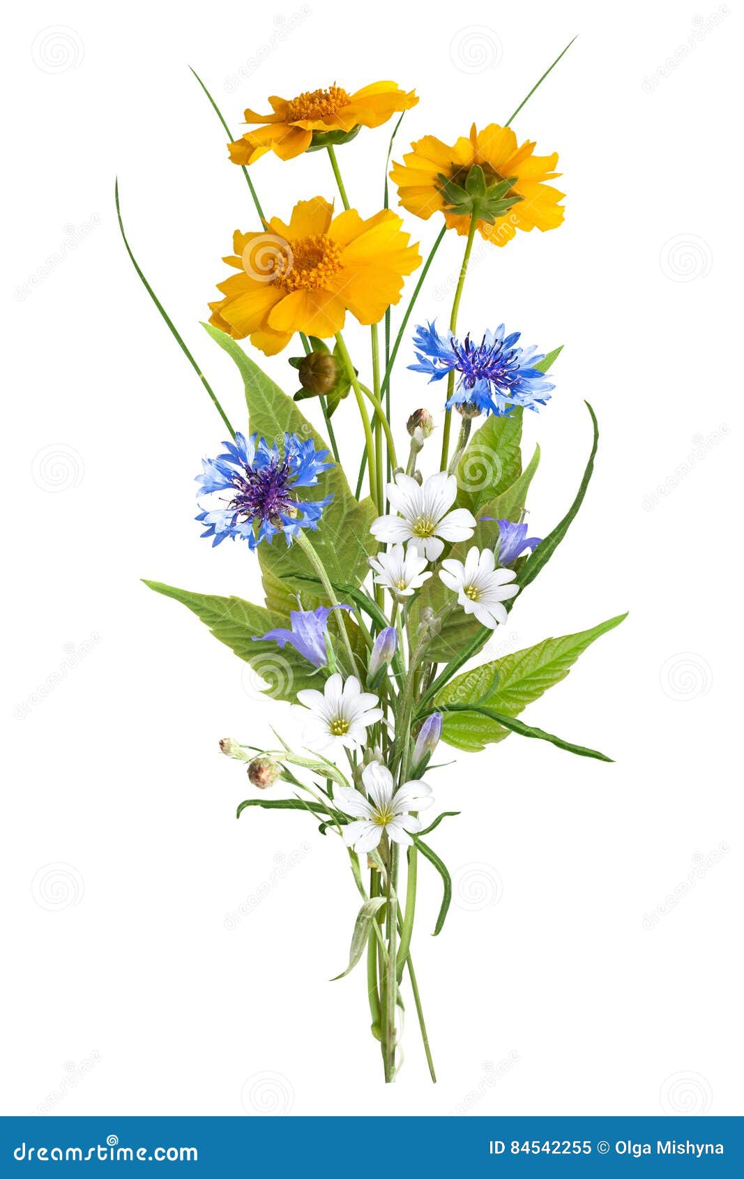 bouquet of the field wild flowers, easter colors, 