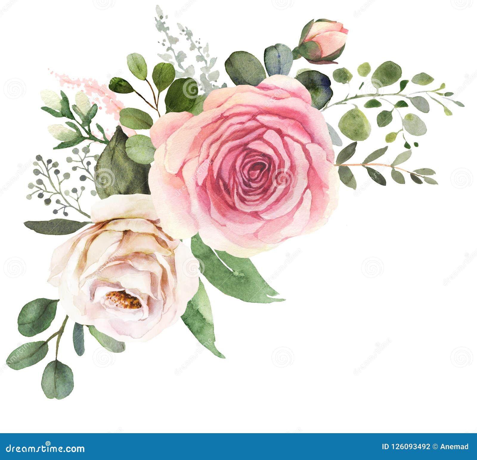 Bouquet Floral D'aquarelle Avec Les Roses Et L'eucalyptus Illustration  Stock - Illustration du poussiéreux, groupe: 126093492