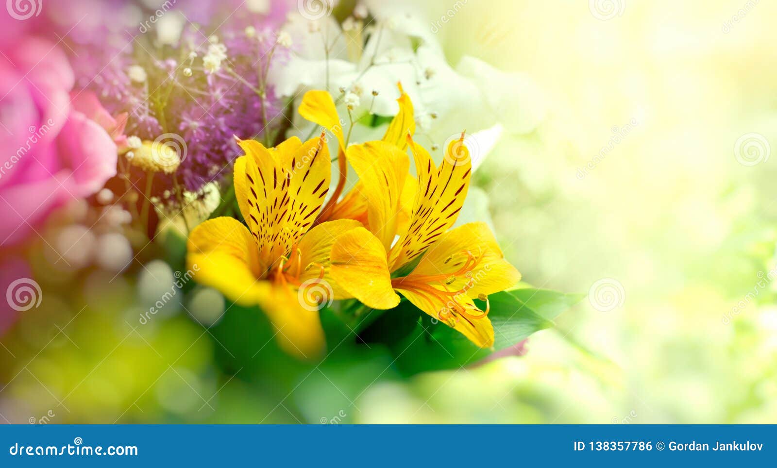 bouquet of flowers, beautiful flower - floral arrangement