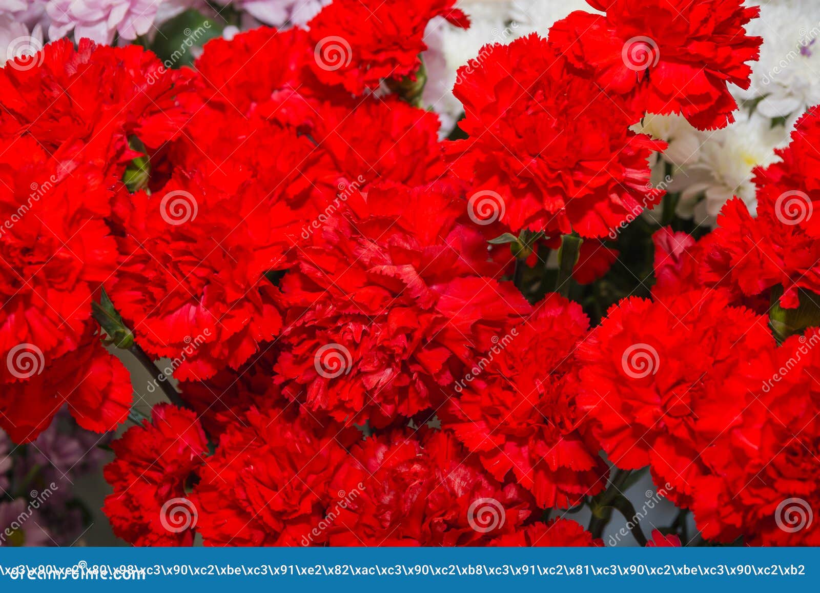 Bouquet of Flowers. Big Beautiful Bouquet of Flowers Stock Photo ...