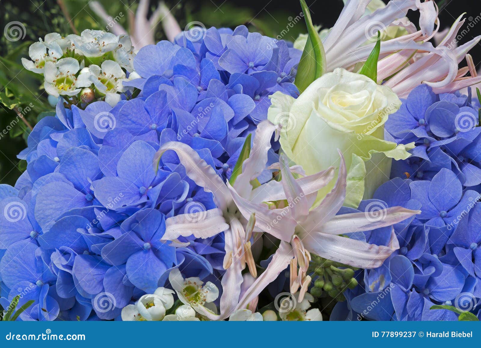 Bouquet of Flowers with Blue Hydrangea Stock Image Image of beautiful