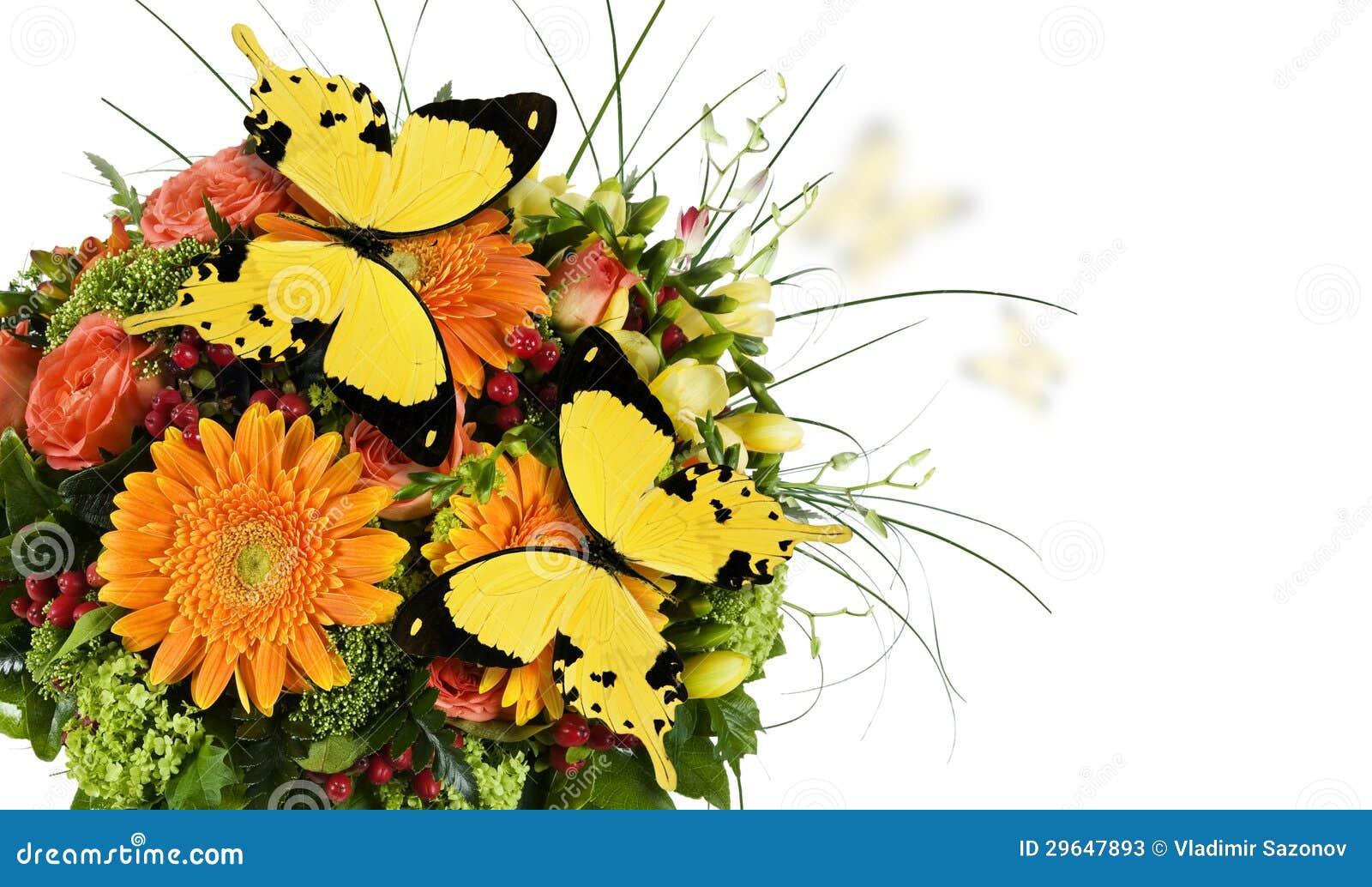 Bouquet of Flowers and Butterflies. Stock Image Image of bouquet