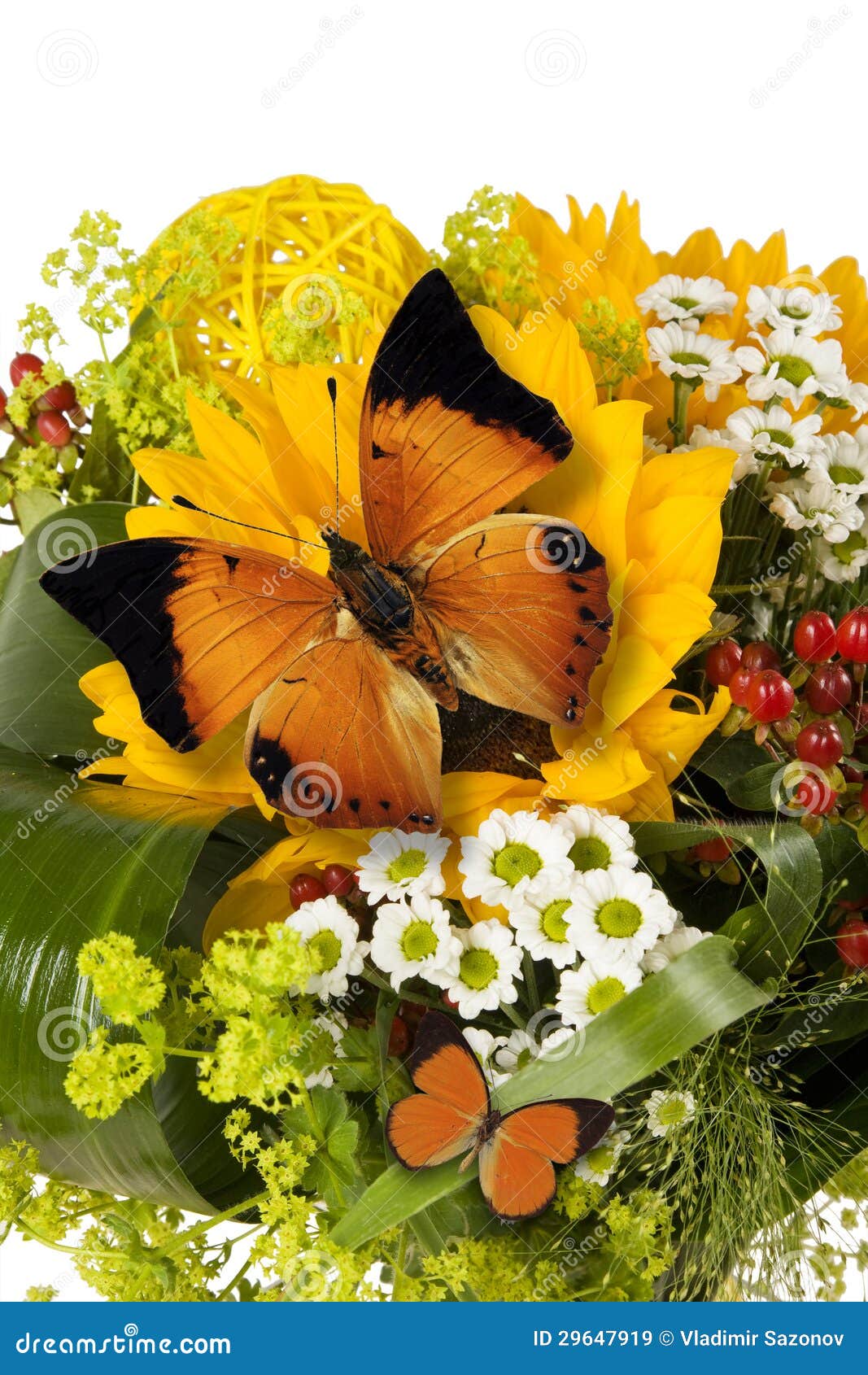 Bouquet of Flowers and Butterflies. Stock Image Image of butterfly