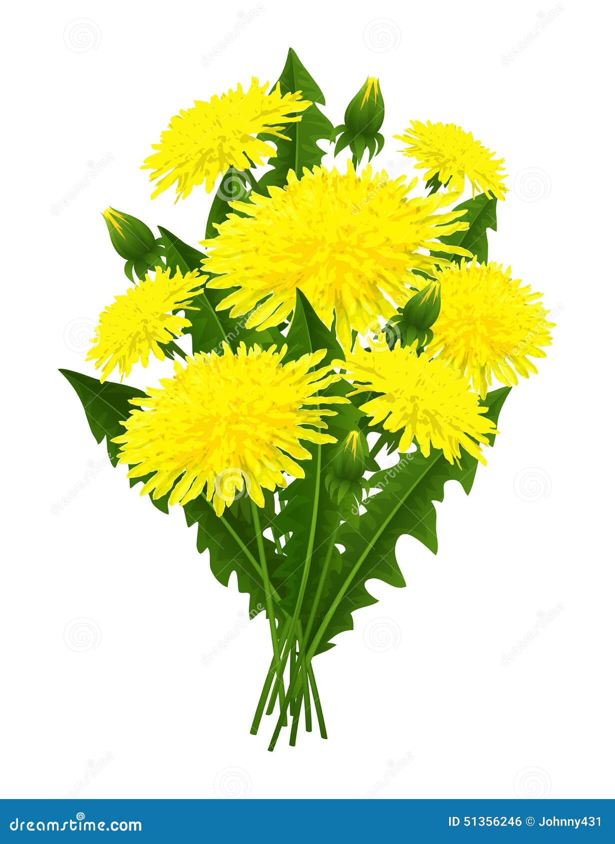 Bouquet Of Flowers Dandelion Stock Vector - Illustration of isolated