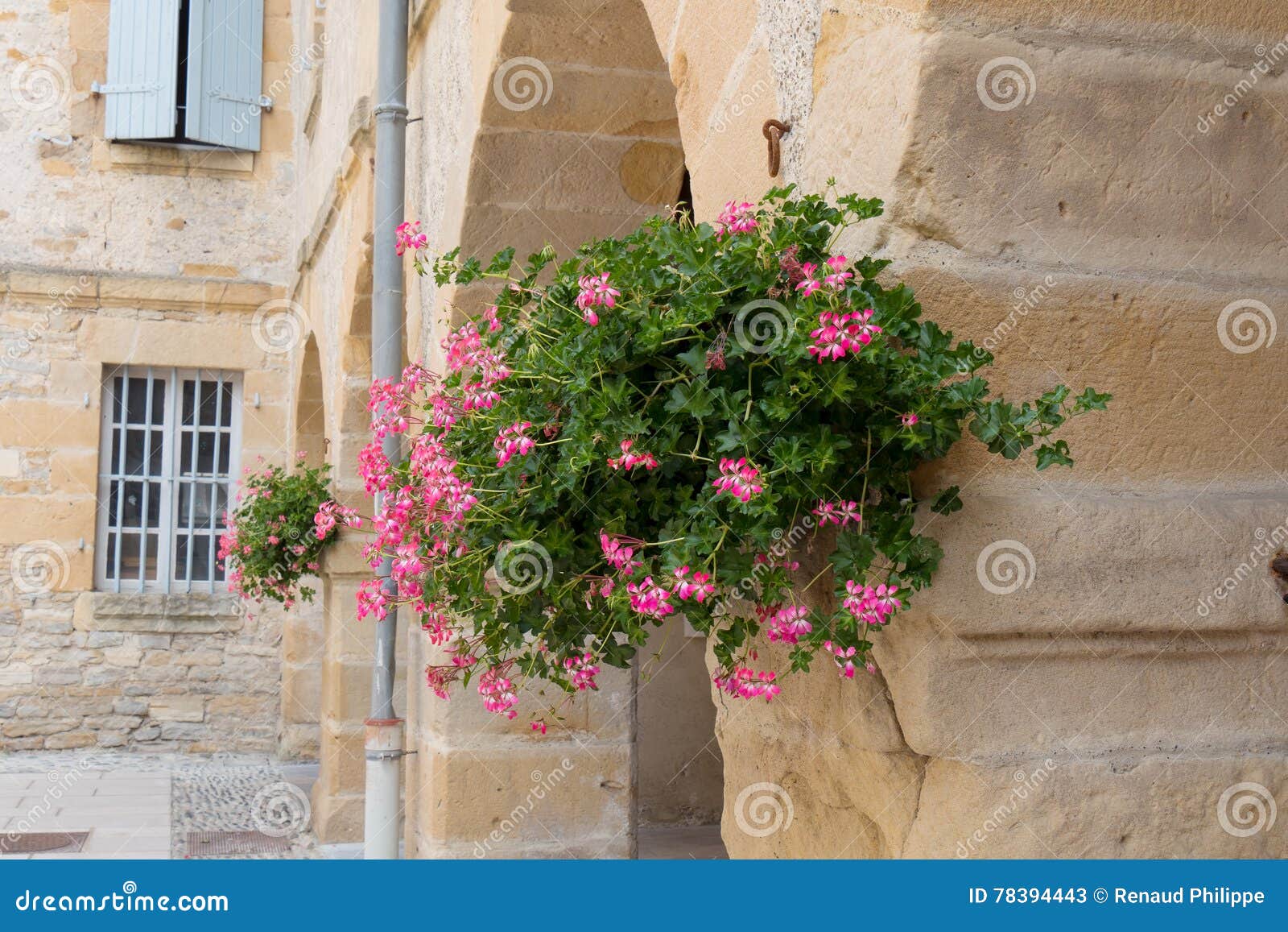 Bouquet of Flowers Hanging on the Wall Stock Image Image of outside