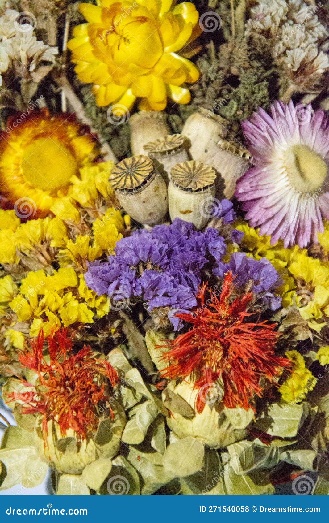 Bouquet of Flowers. Herbarium Stock Photo Image of flowers, autumn