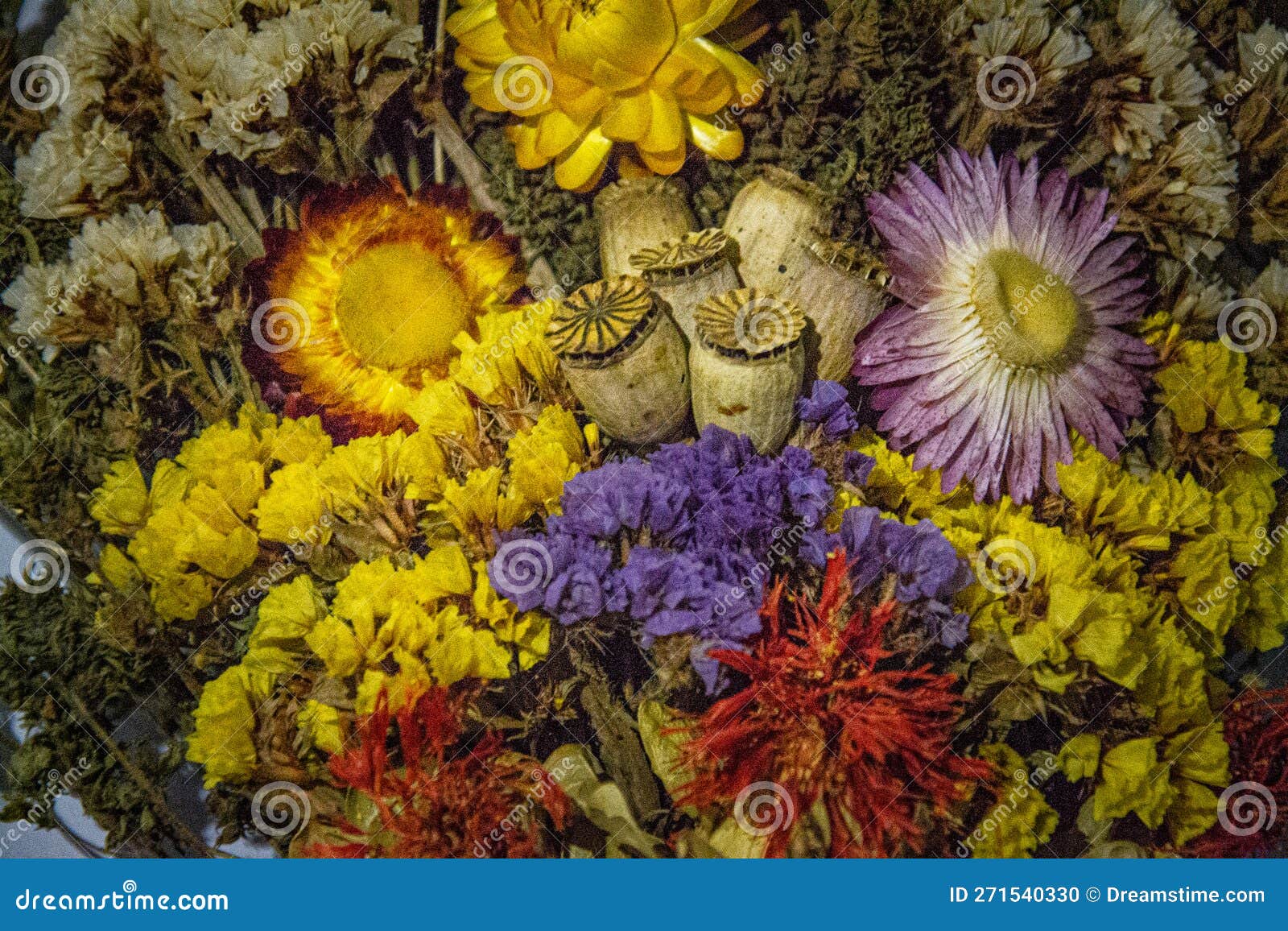 Bouquet of Flowers. Herbarium Stock Photo Image of produce, leaf