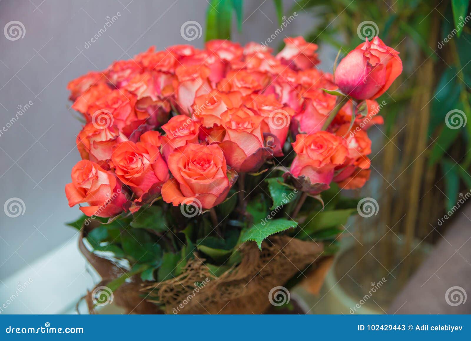 A Bouquet Of Flowers Bouquet Of A Hundred Pink Roses Flower Bouquet Of 100 Red Roses Stock Image Image Of Petal Beautiful 102429443