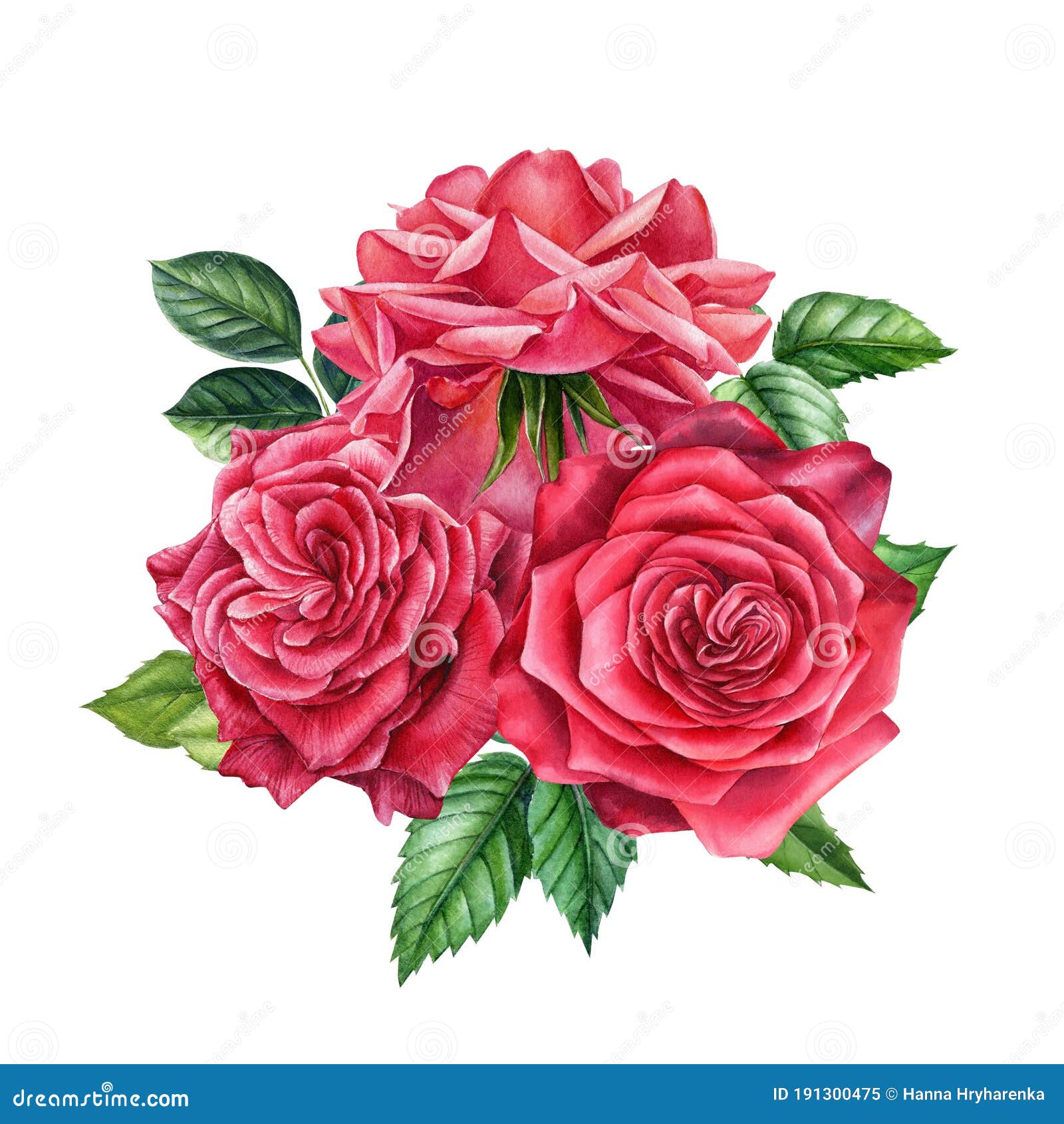 Download Bouquet Of Flowers Red Rose On Isolated, White Background ...