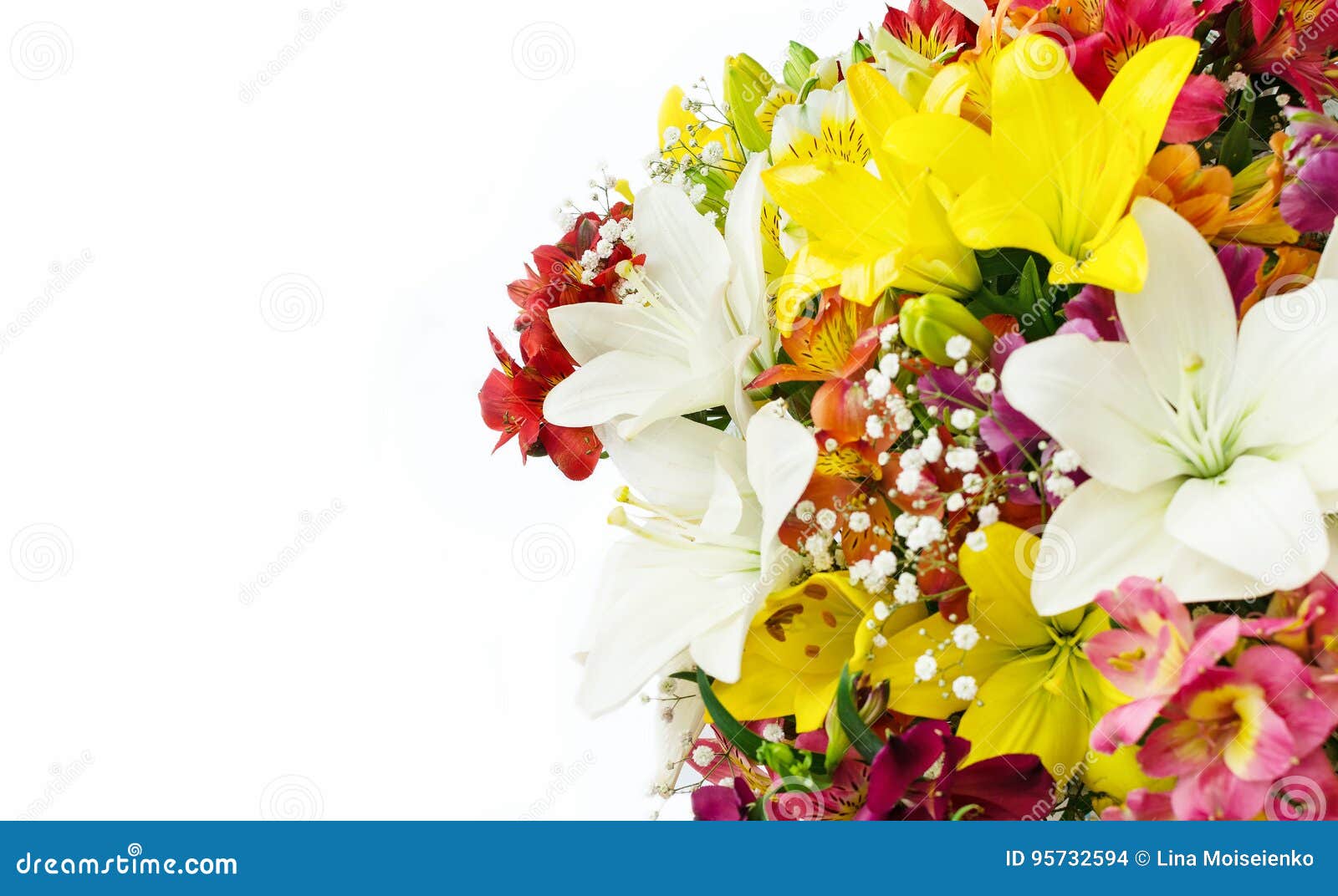 33,739 Congratulations Flowers Stock Photos - Free & Royalty-Free ...