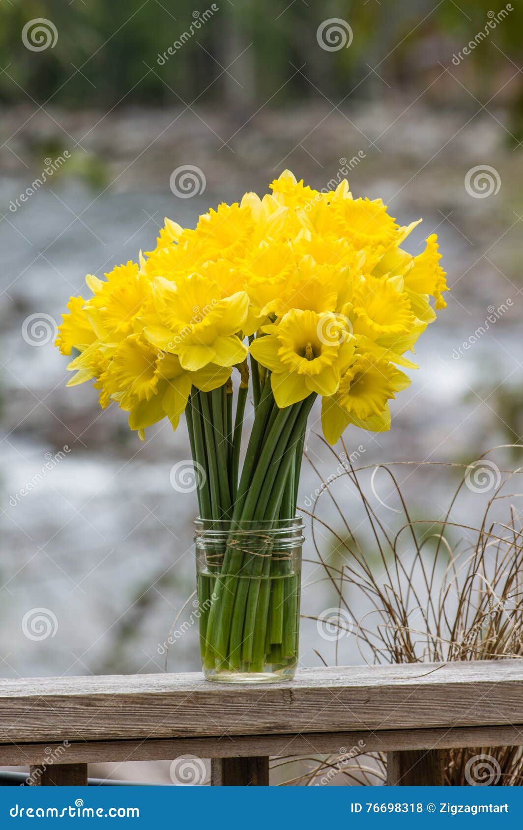 Bouquet of Fresh Daffodil Flowers Stock Photo Image of bunch, blossom