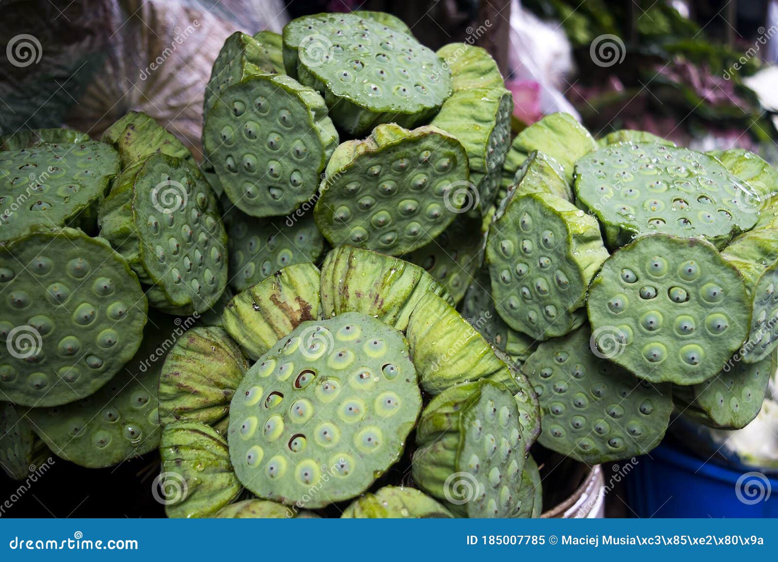 Bouquet of Fresh Lotus Seed Pod Head Stock Image Image of market
