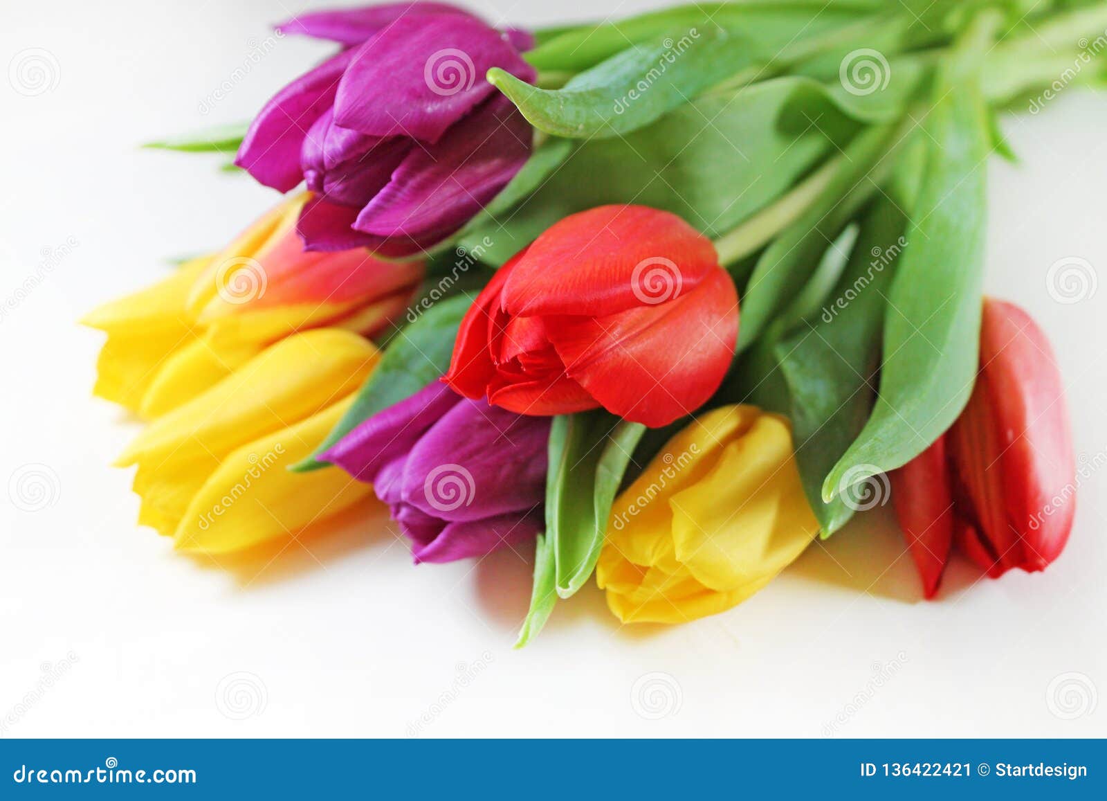 Bouquet of Fresh Multicolor Tulips Close-up. Stock Image - Image of ...