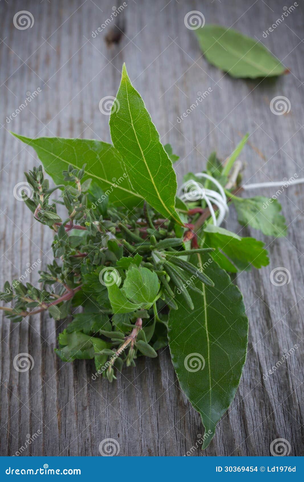 Bouquet Garni. stock photo. Image of herb, garni, provence 30369454