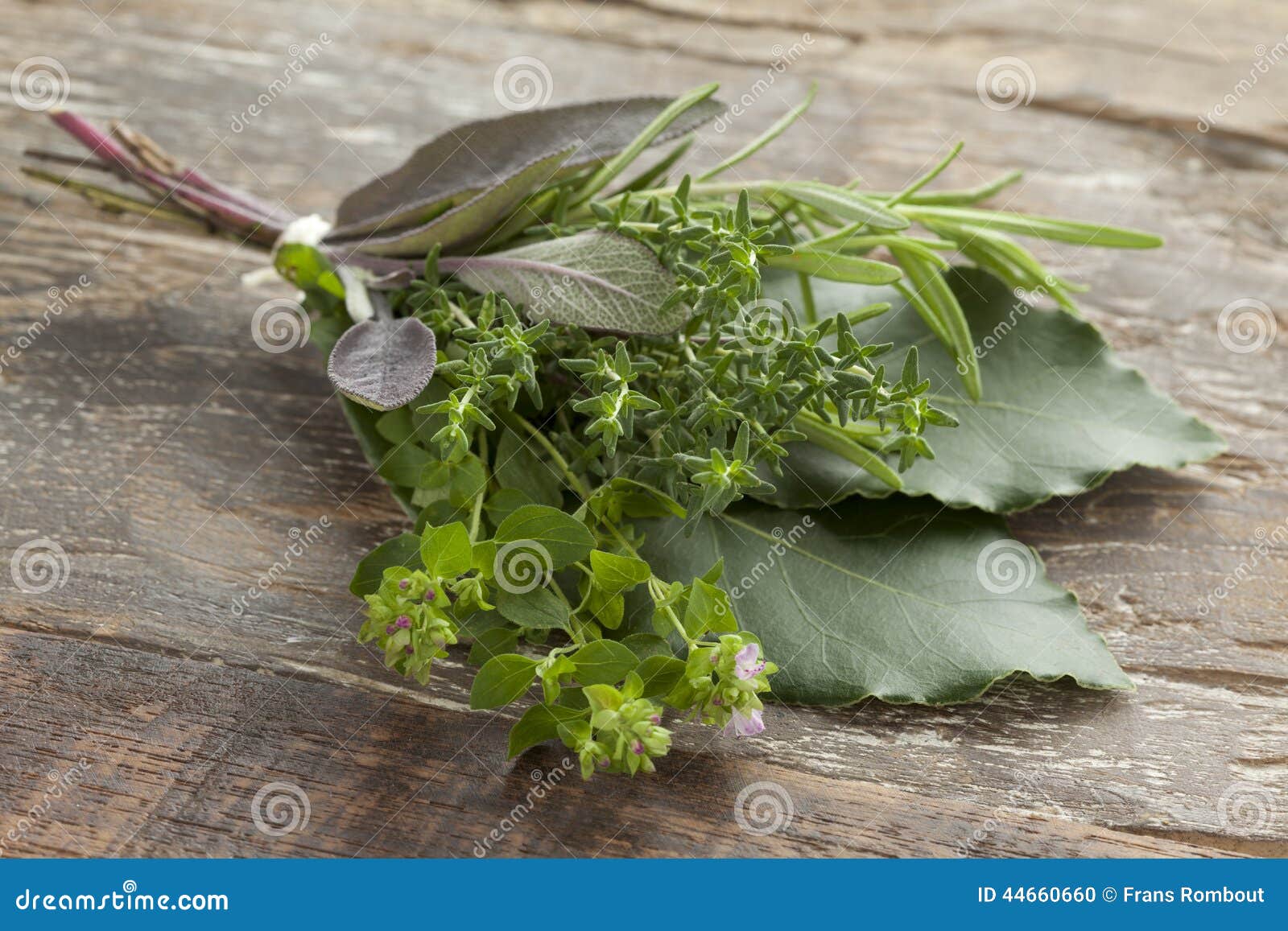 Bouquet garni stock photo. Image of organic, seasoning - 44660660