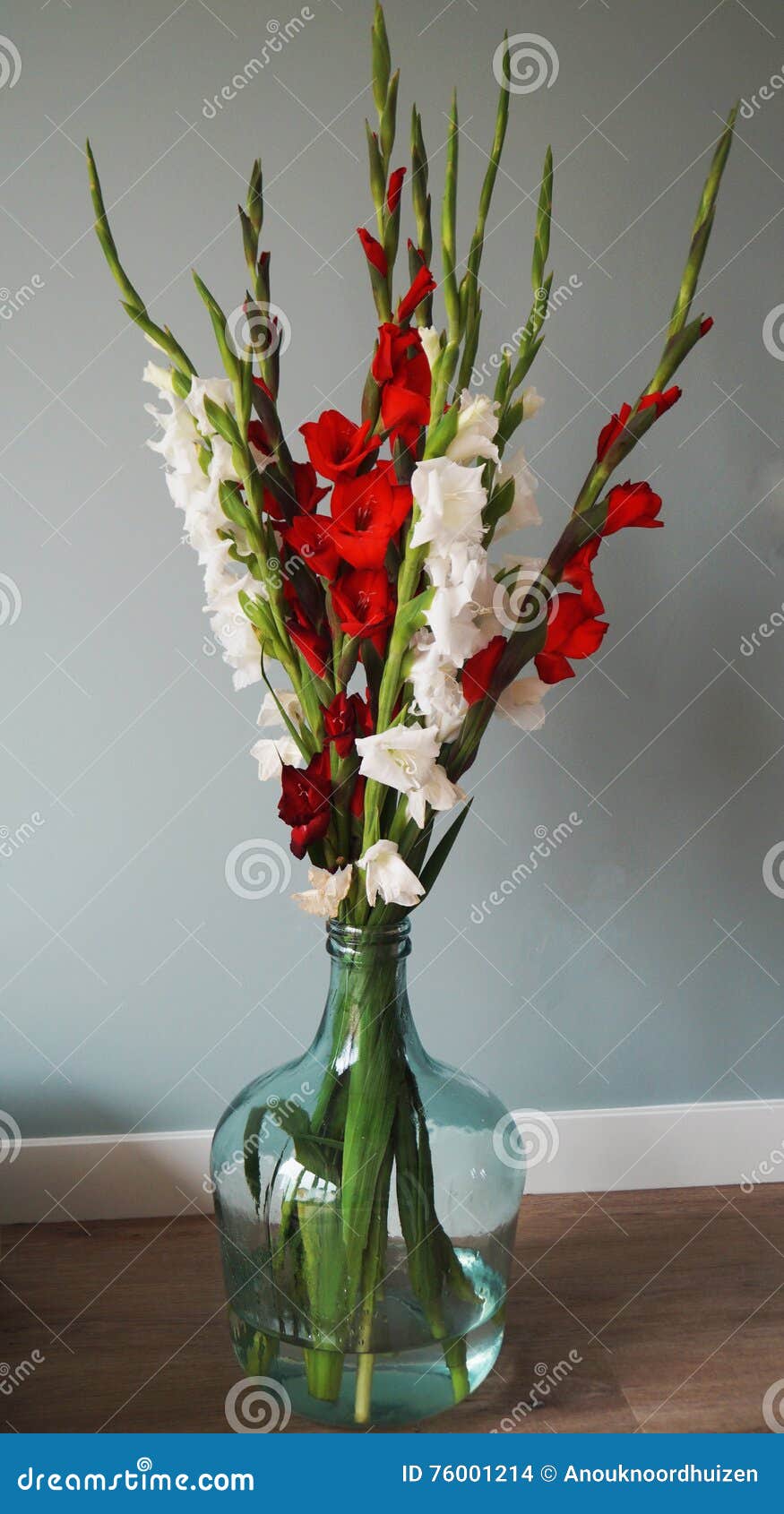 Bouquet of gladiolus stock photo. Image of blossom, green 76001214