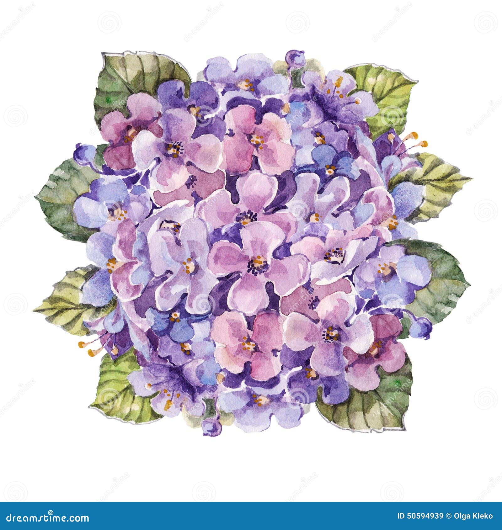 green hydrangea clip art - photo #28