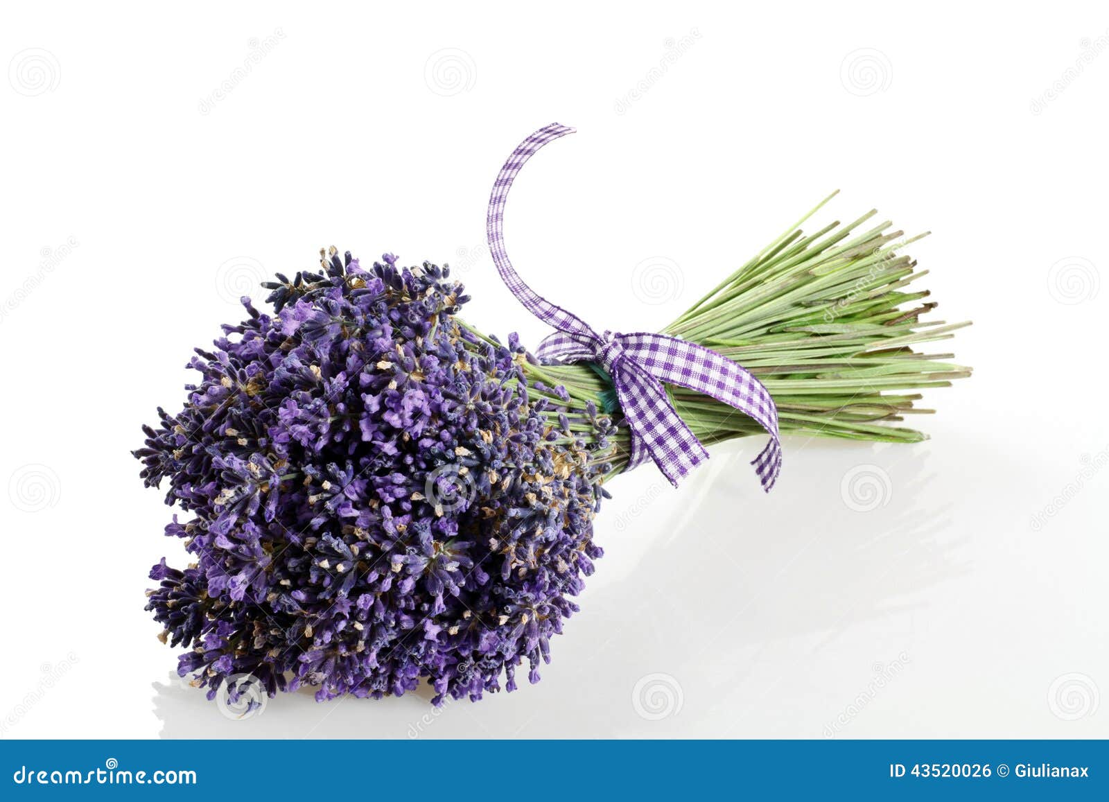 Bouquet of Lavender Flowers Cut Stock Photo - Image of scent, bouquet ...