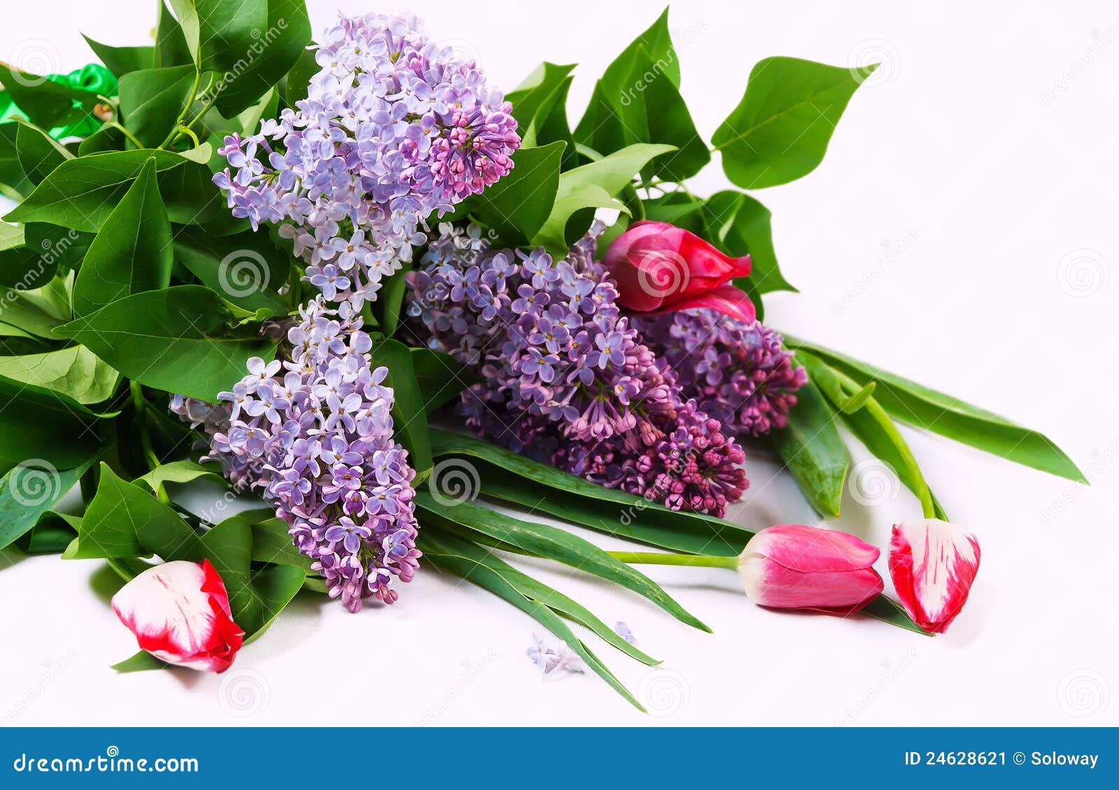 Bouquet with Lilac and Tulips Stock Image Image of blossom, fresh