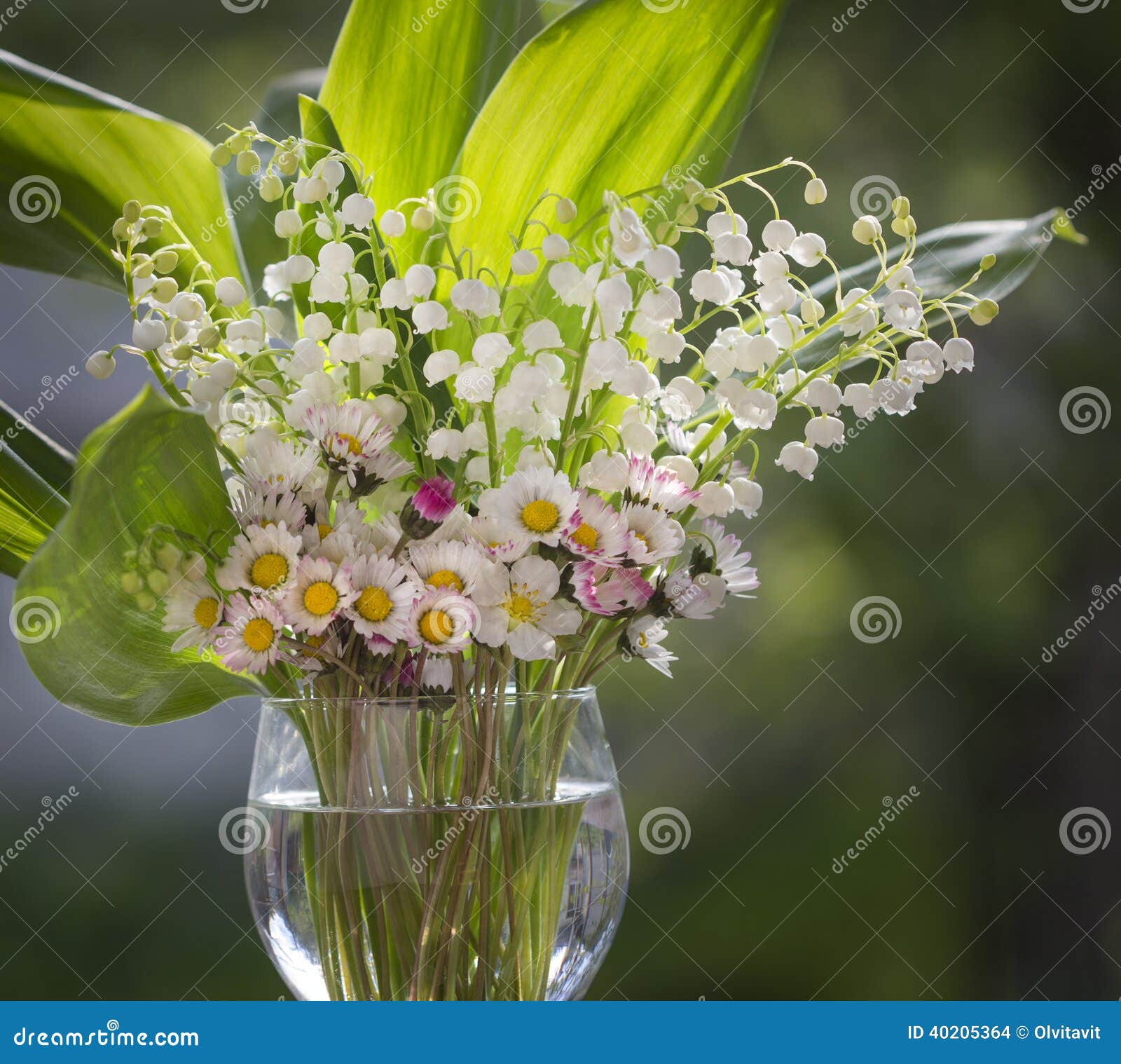 Bouquet of Lilies and Daisies Stock Photo Image of green, blossom