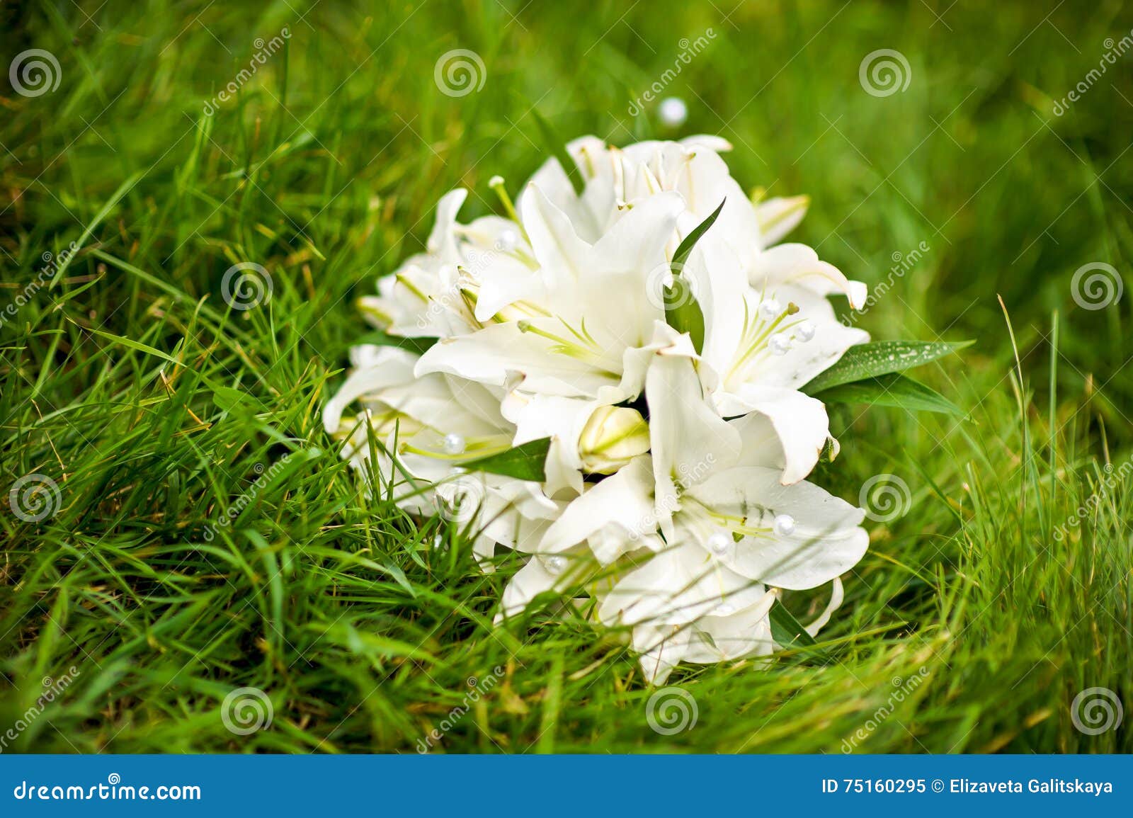 Bouquet of Lilies on the Grass Stock Image Image of bouquet, field