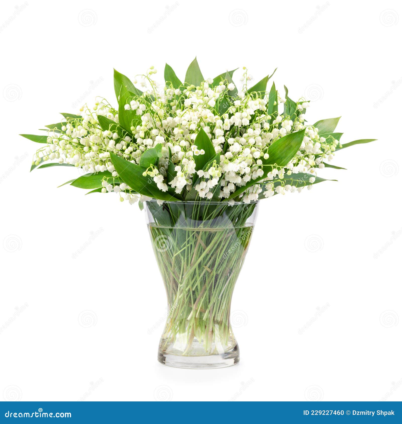 My Image 24