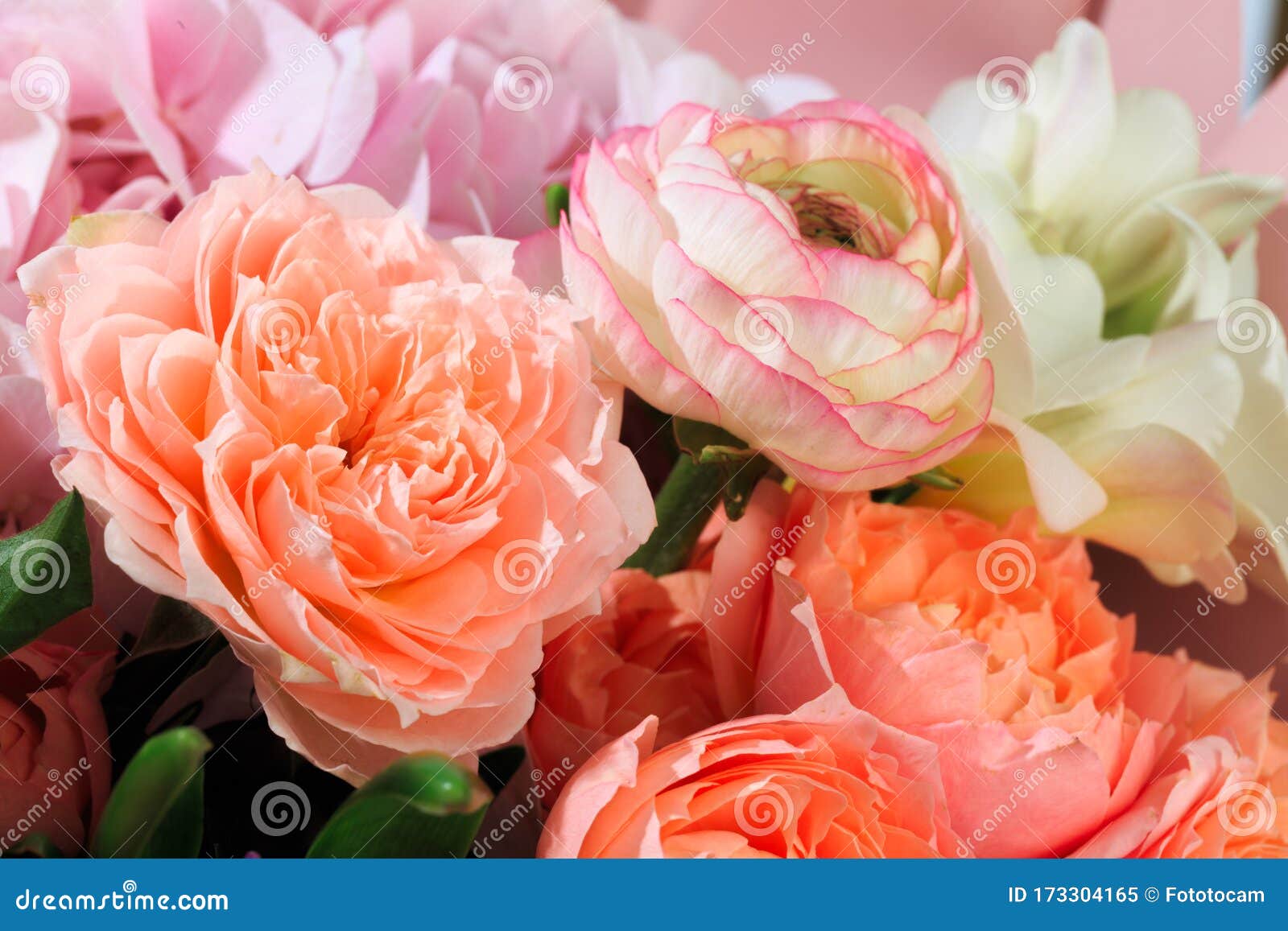 Bouquet of Mixed Spring Flowers Closeup View Image Stock Image