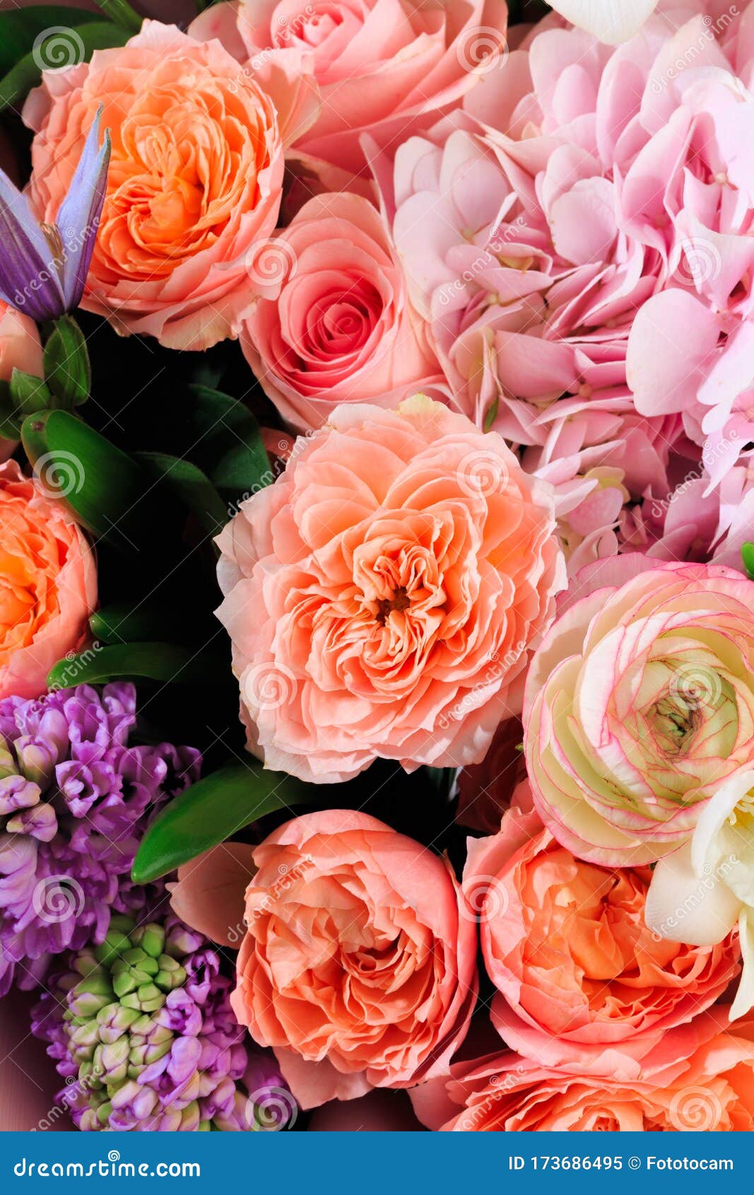 Bouquet of Mixed Spring Flowers Closeup View Image Stock Image
