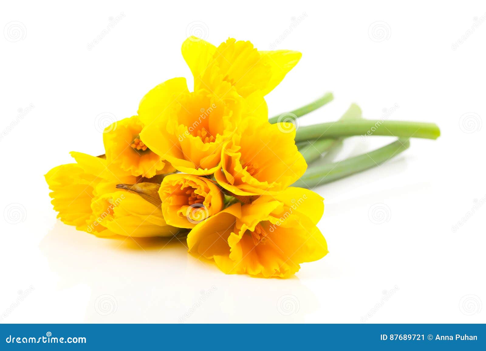 Bouquet narcissus flowers stock image. Image of stem 87689721