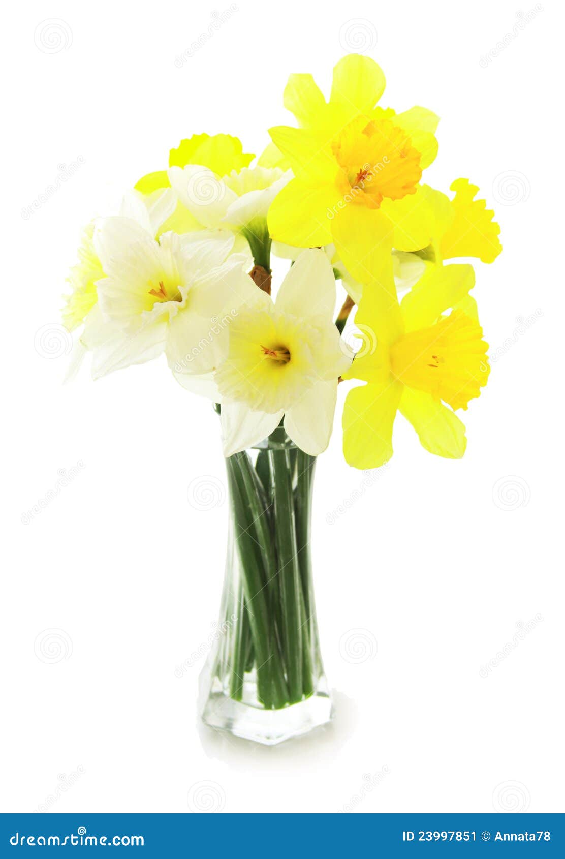 Bouquet of Narcissus in a Glass Vase Stock Image Image of bouquet