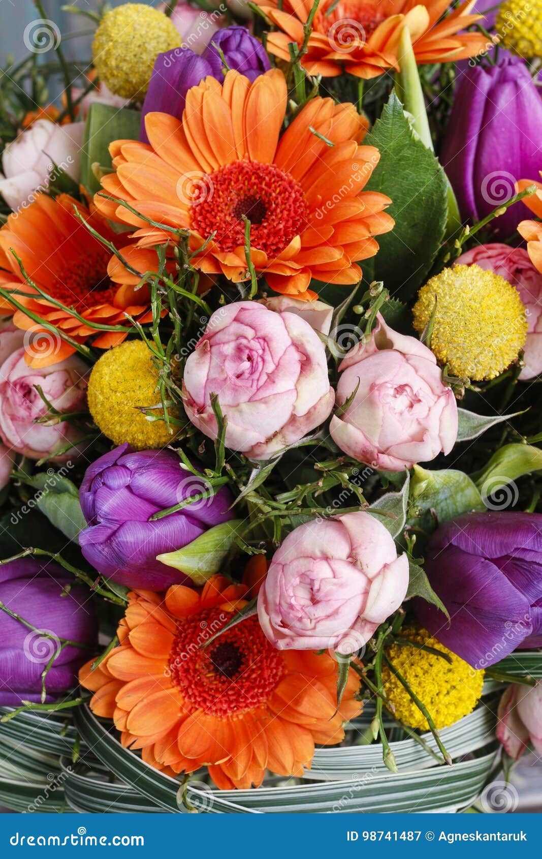 Bouquet Of Orange Gerbera Daisies Violet Tulips And Pink Roses Stock Image Image Of Gift Gerber 98741487