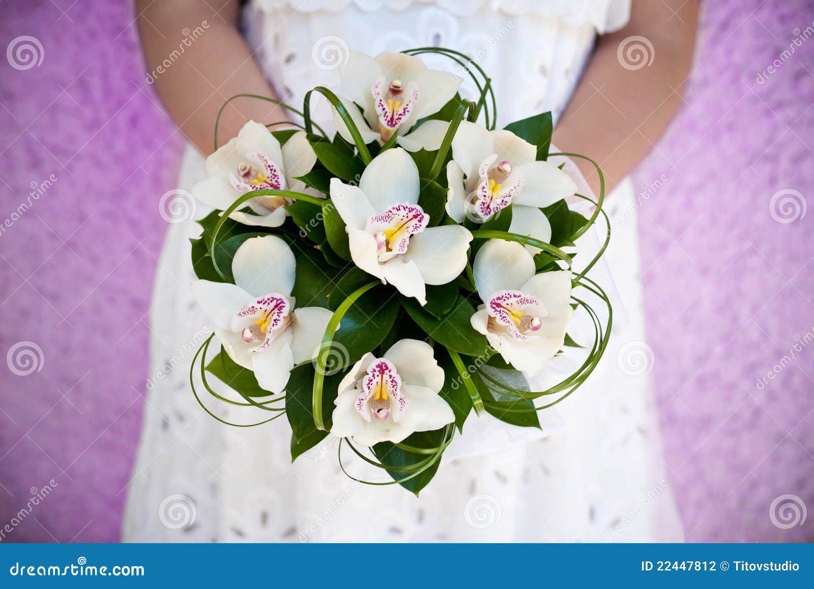 Bouquet of orchids stock photo. Image of lace, beautiful - 22447812