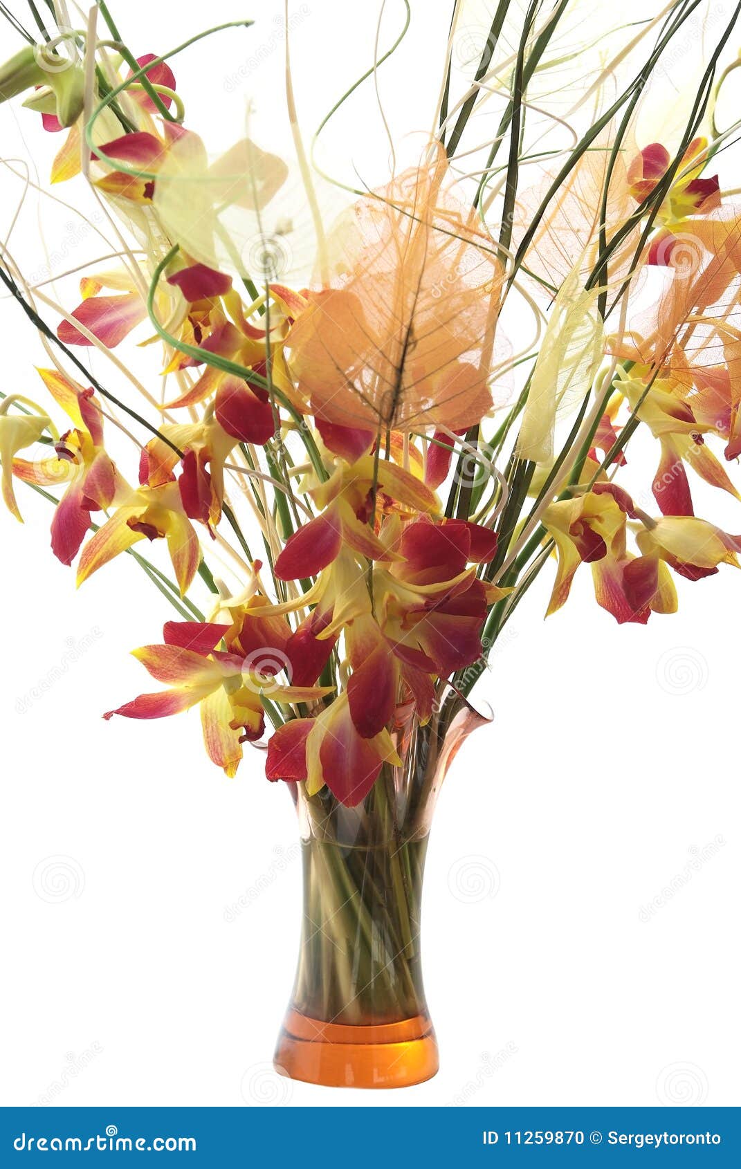 Bouquet of Orchids in Vase. Isolated Stock Photo Image of green, love
