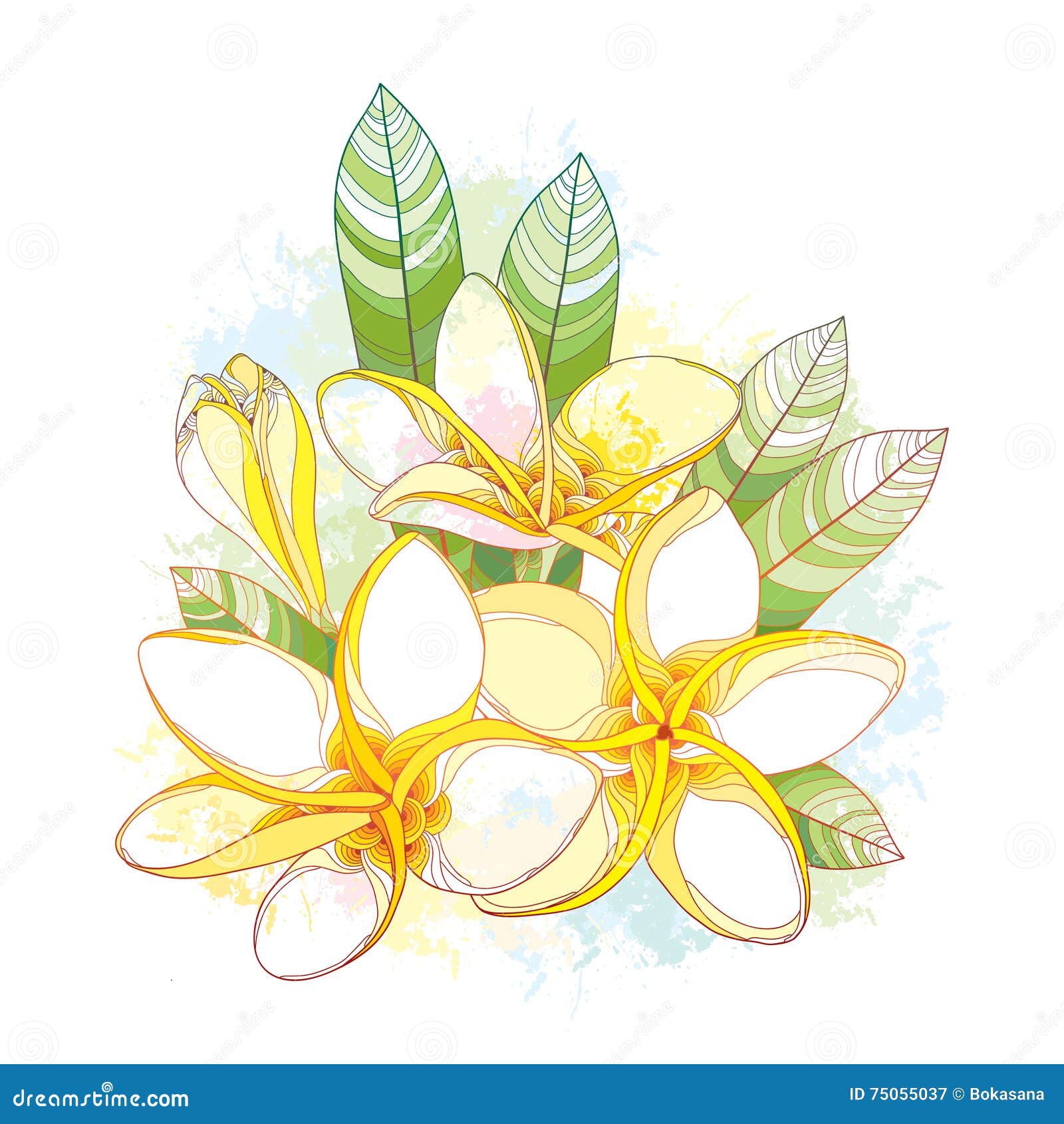Bouquet with Ornate Plumeria or Frangipani Flower, Bud and Leaves on ...